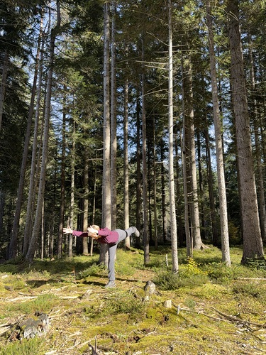 Hatha Yoga 